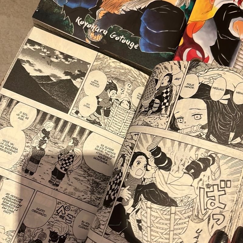 Demon Slayer Kimetsu No Yaiba, Mangá Vol. 6 Ao 9