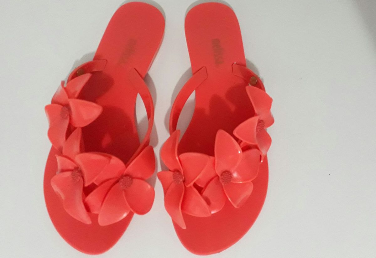 rasteirinha melissa flor