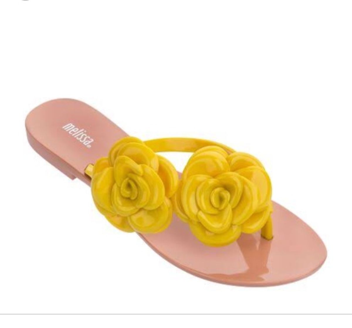 rasteirinha melissa flor