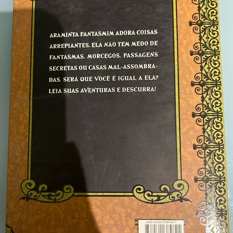  Minha Casa Mal-Assombrada (Em Portuguese do Brasil):  9788561384821: Angie Sage: Books