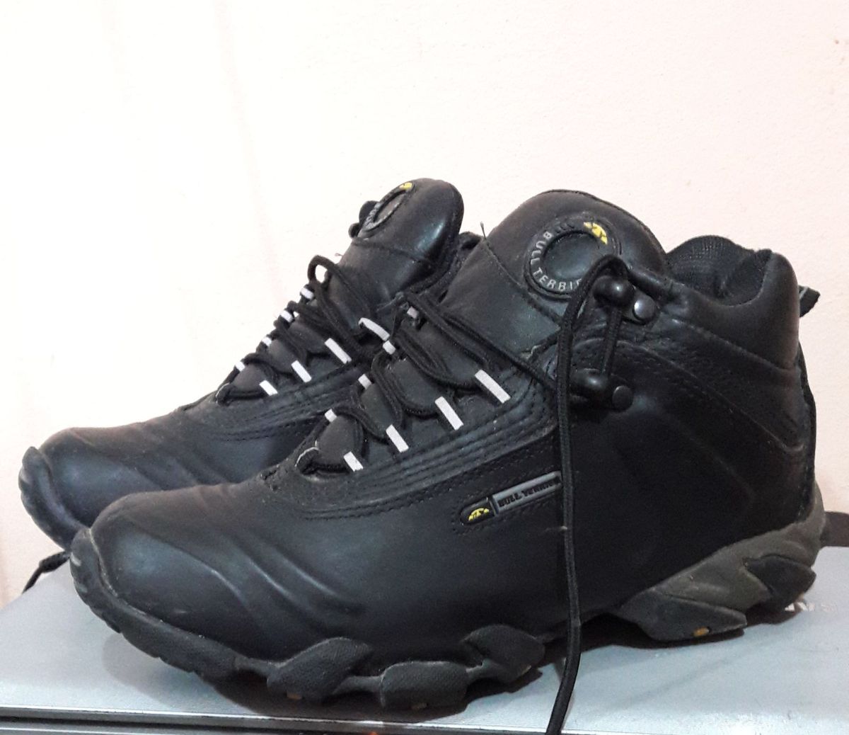 botinha bull terrier feminina