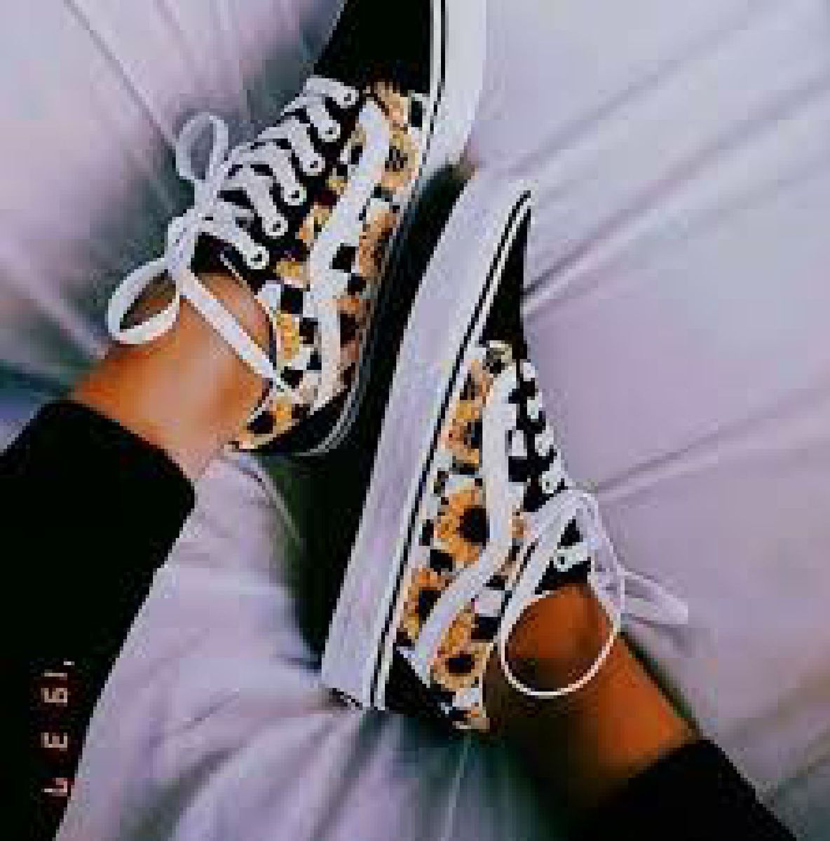 vans esporte