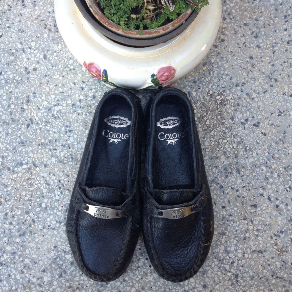 sapato coiote da azaleia