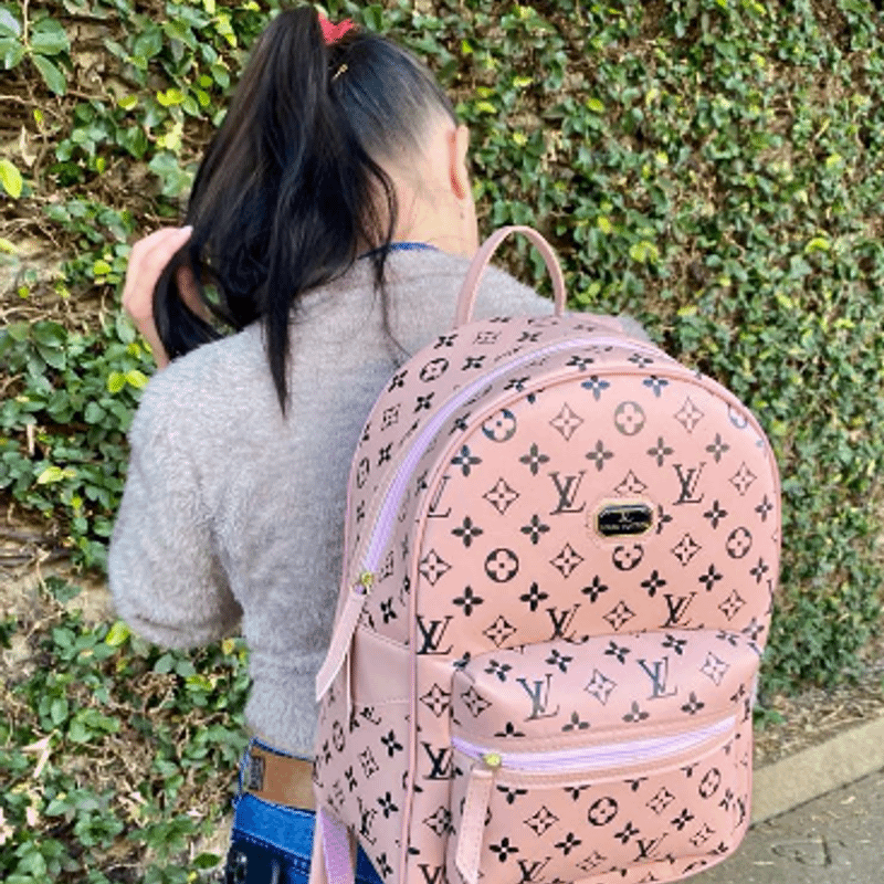 Bolsa Louis Vuitton Original Usada