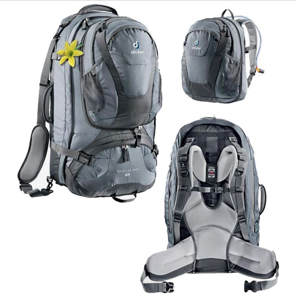 Deuter 2025 traveller 55