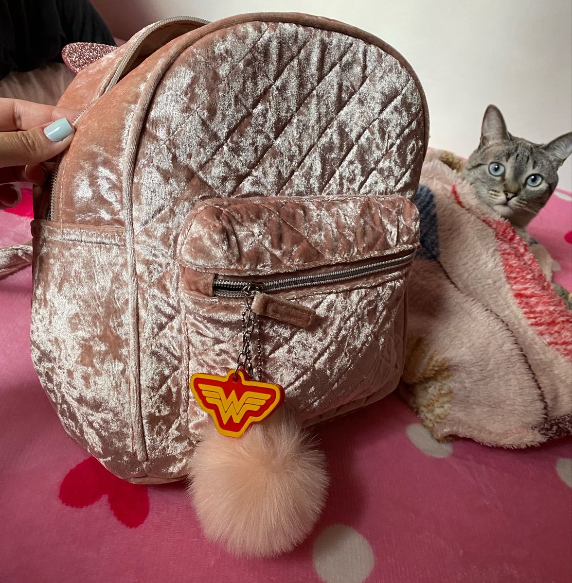 Mochila Bolsa Escolar Juvenil Cat Teen - Compre Agora
