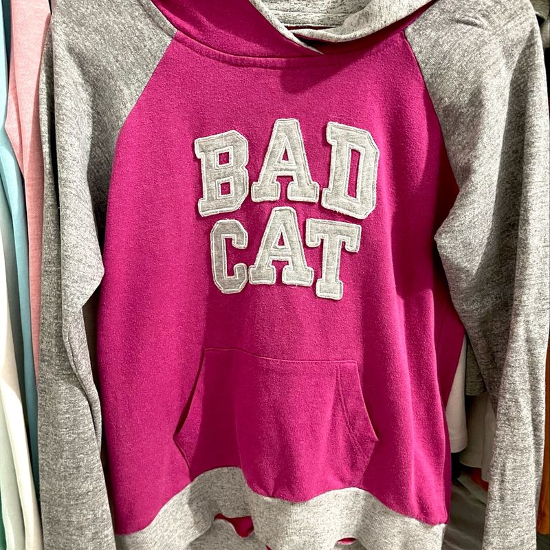 Moletom Bad Cat, Casaco Feminino Bad Cat Usado 74500161