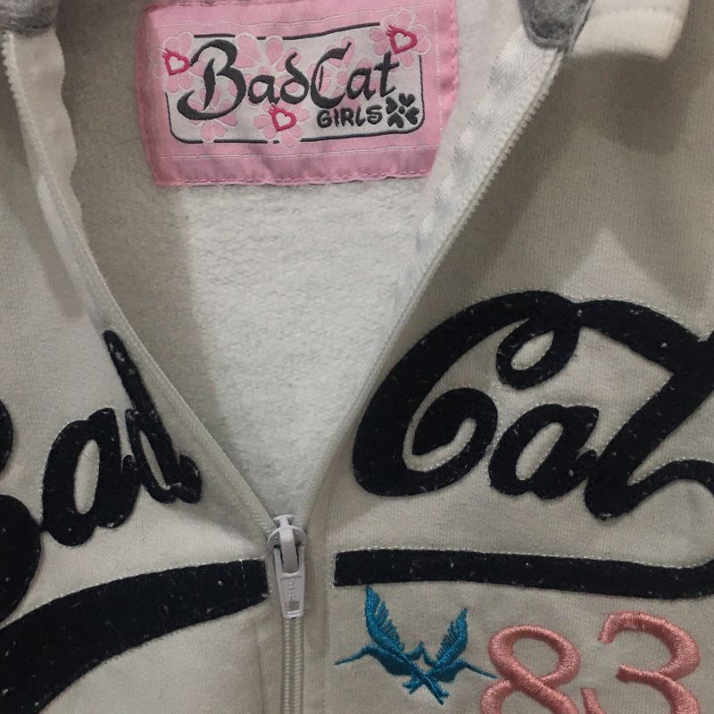 Moletom Estilo Americano, Blusa Feminina Bad Cat Usado 29062816