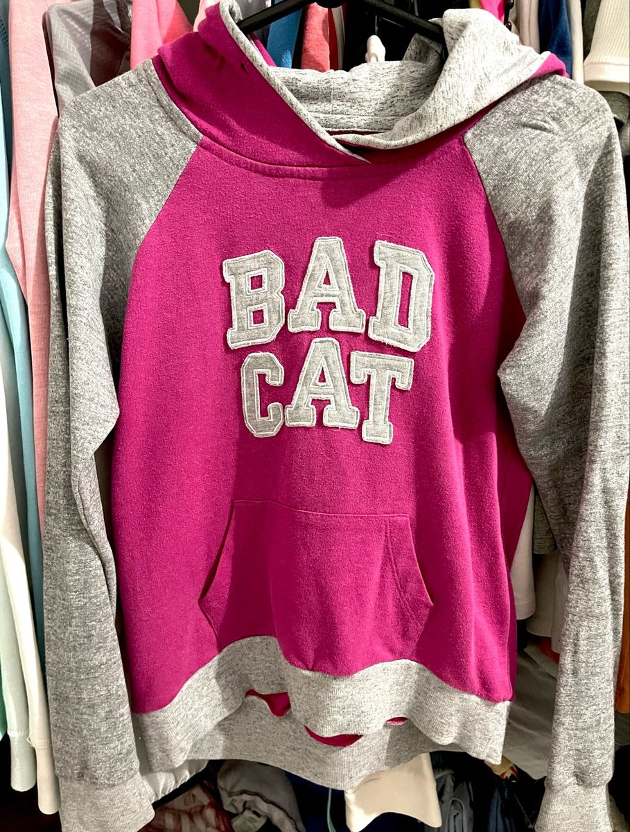 Moletom Estilo Americano  Blusa Feminina Bad Cat Usado
