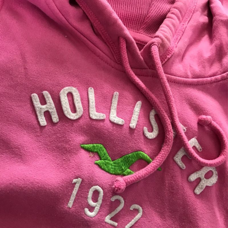 Moletom Hollister Original Camisa Hollister Rosa Masculina Moletom