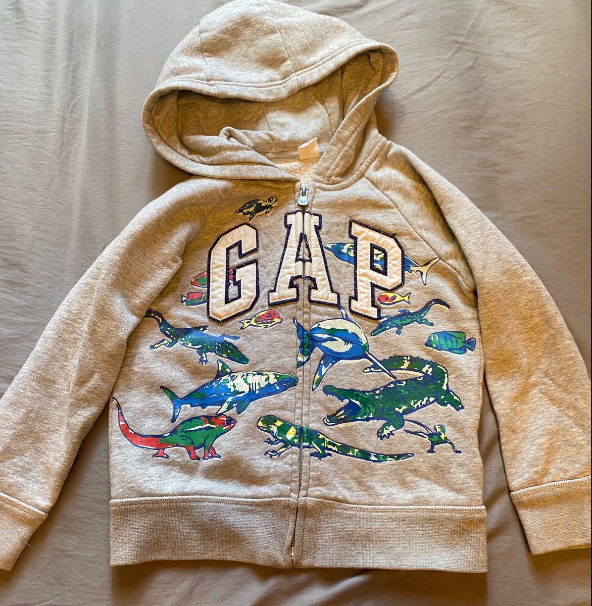 Moletom Infantil Gap Tamanho 6 Roupa Infantil para Menino Gap