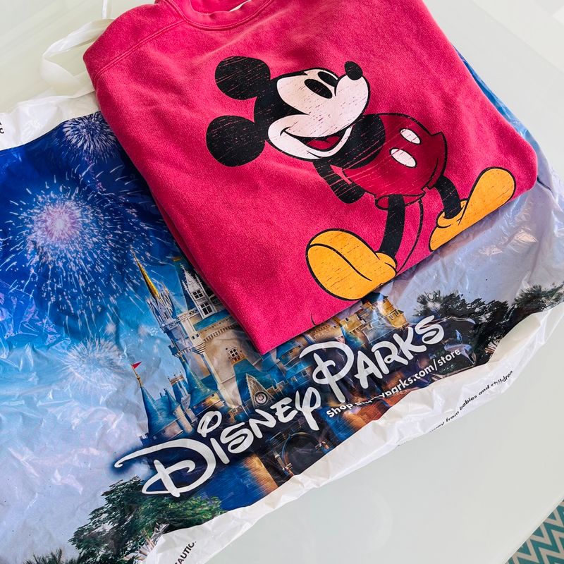 Moletons best sale da disney