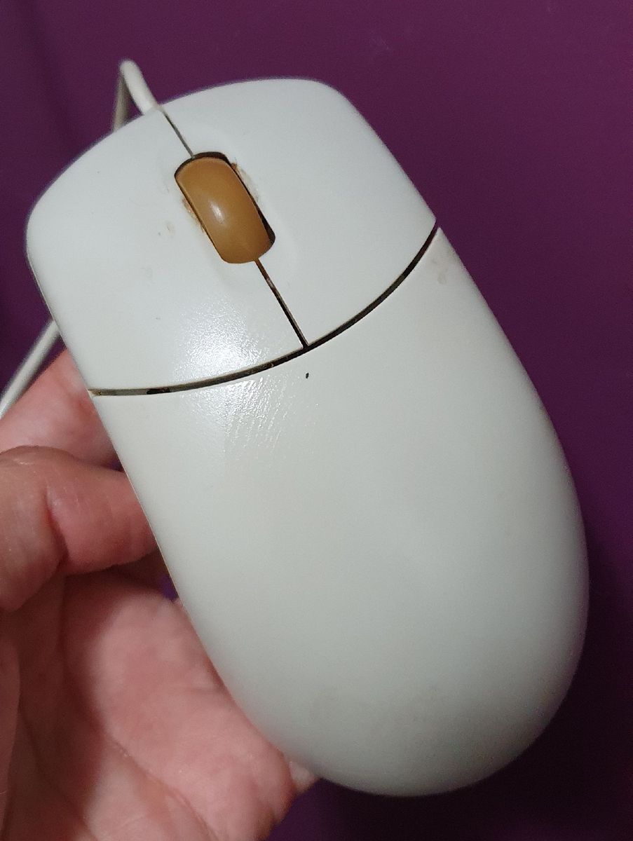 Mouse Óptico Clássico Entrada Ps2 | Mouse p/ Computador Usado 42188375 ...
