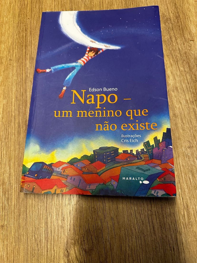 Napo - Um Menino Que Não Existe | Livro Maralto Edições ** Usado ...