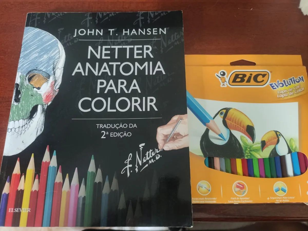 Netter Anatomia para Colorir + Lápis de Cor | Livro Elsevier Usado ...