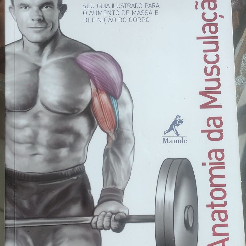 Anatomia da musculação :: Personal Training