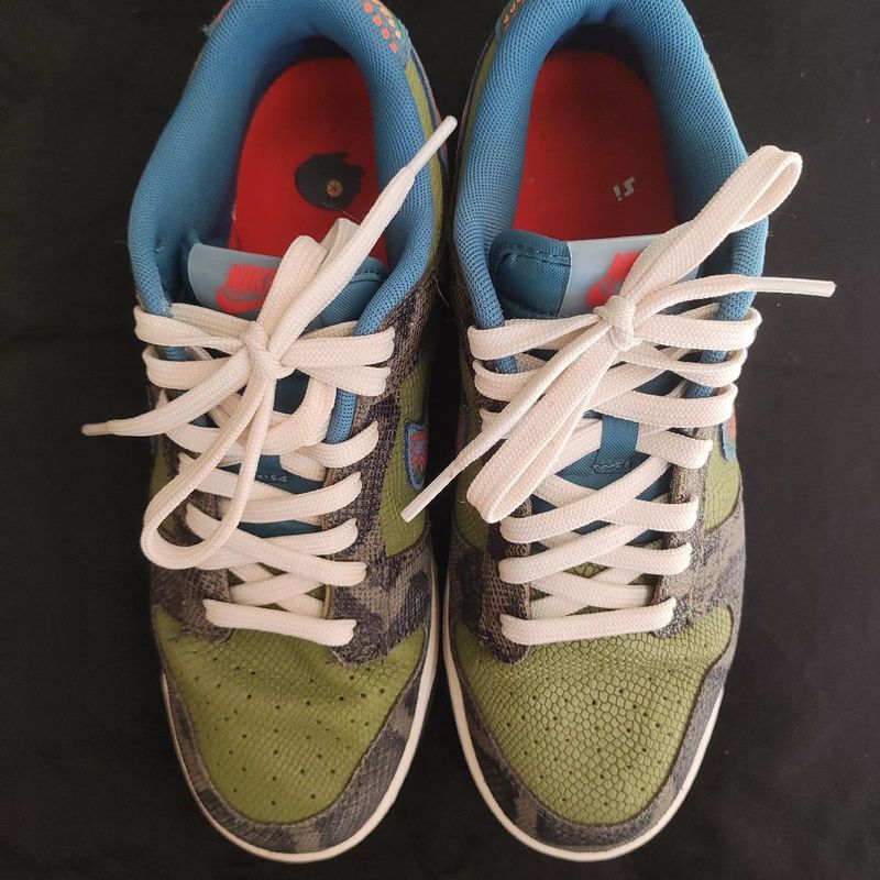 Nike Dunk Low - Siempre Família | Tênis Masculino Nike Usado