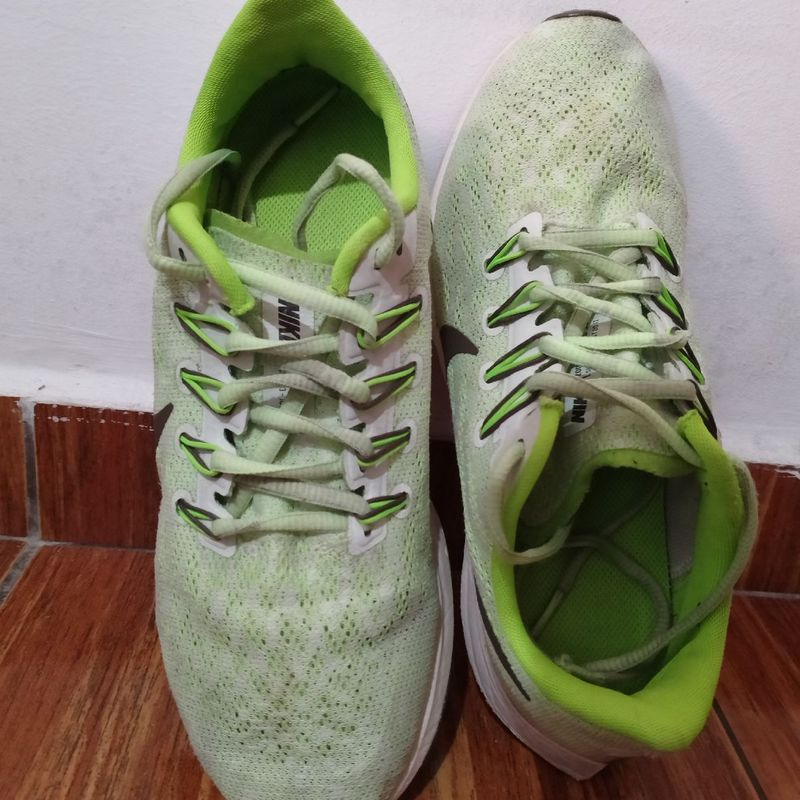 Pegasus cheap 36 verde