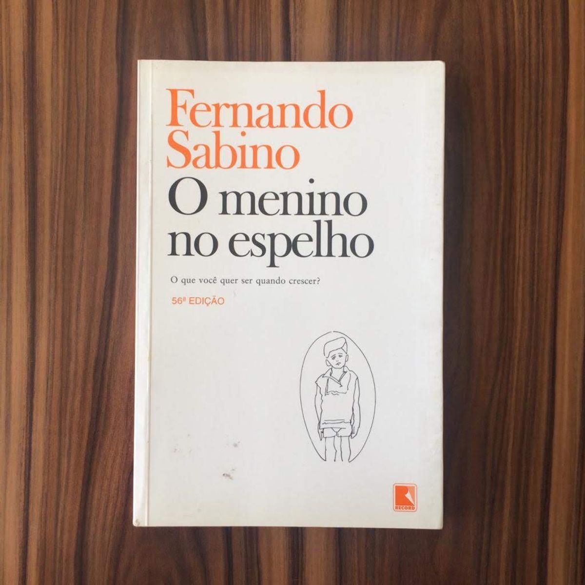 O Menino No Espelho - Fernando Sabino | Livro Editora Record Usado ...