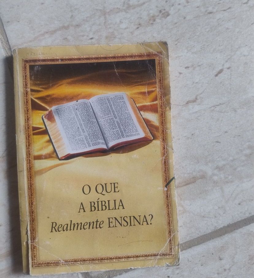 O Que a Bíblia Realmente Ensina | Livro Livro Usado 134399953 | enjoei