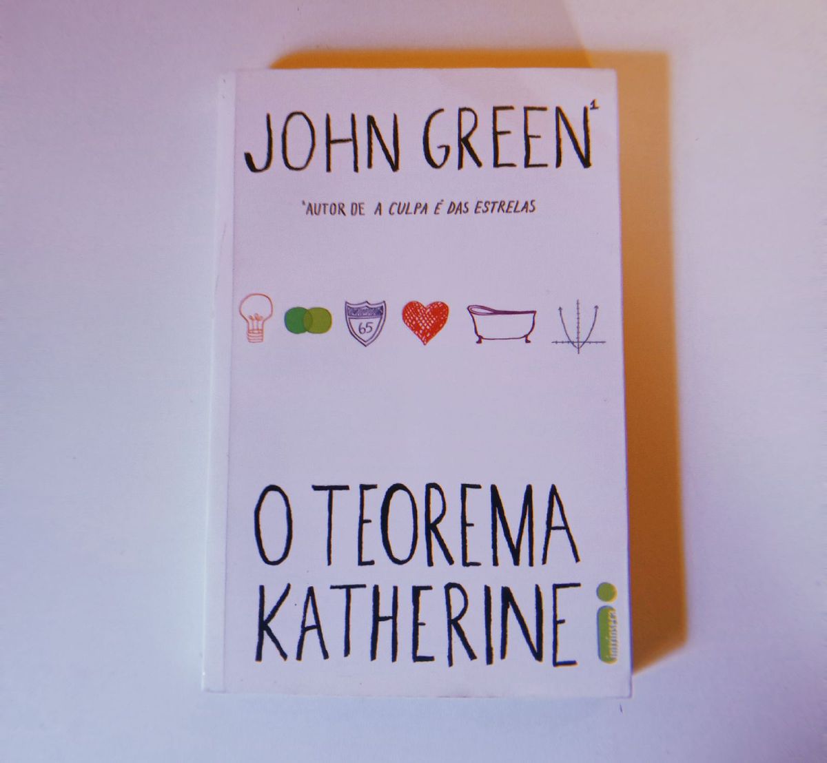 O Teorema Katherine Livro Produto Feminino Intrinseca Usado 70018908 Enjoei 8441