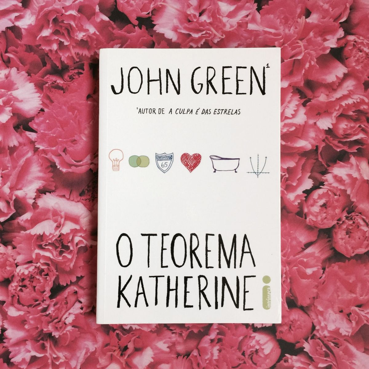 O Teorema Katherine Livro Intrínseca Nunca Usado 15233793 Enjoei 8763