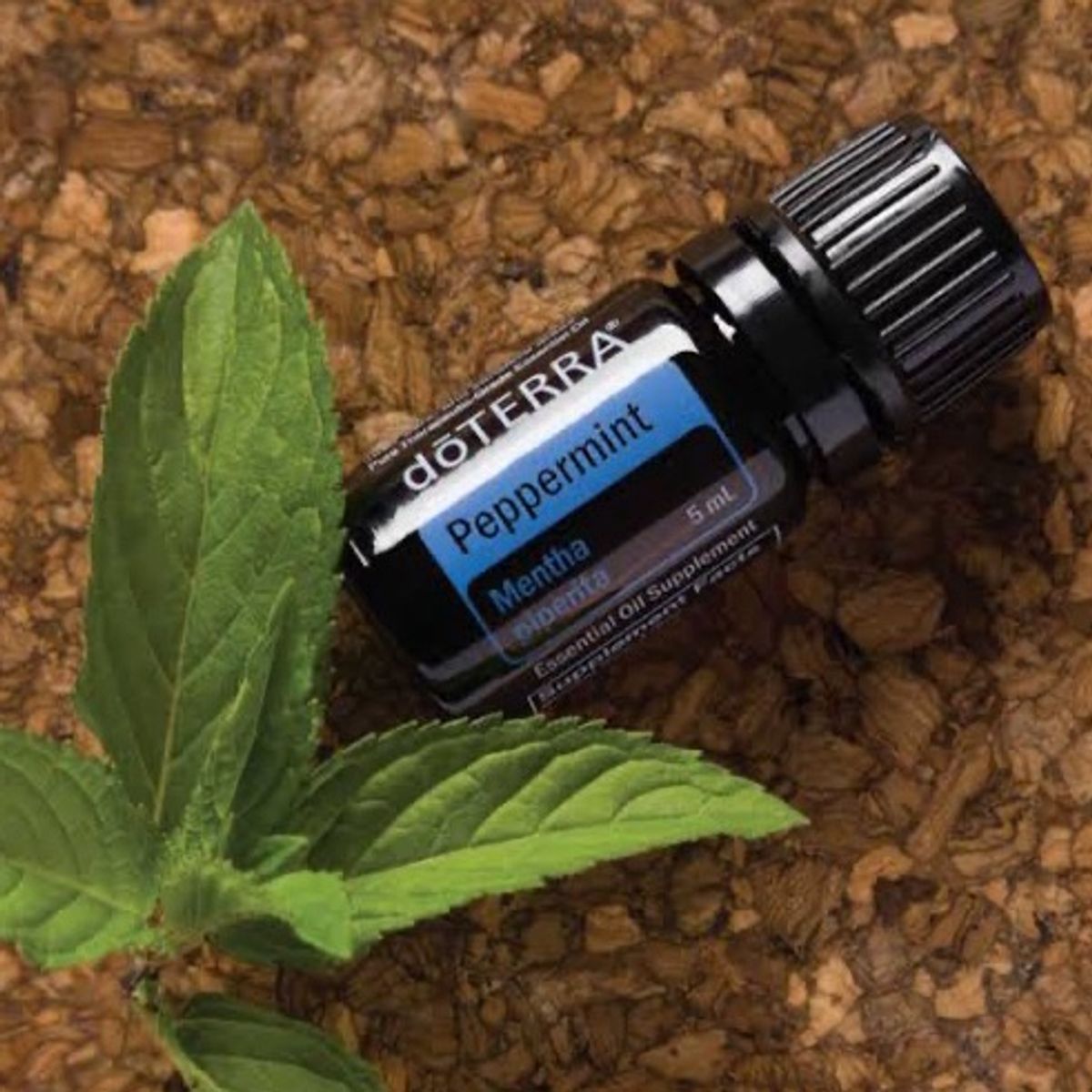 Leo Essencial Peppermint Doterra Ml Produto Feminino Doterra Nunca