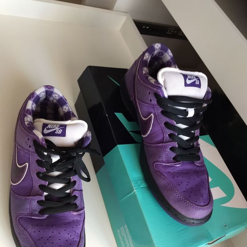 Nike store sb roxo