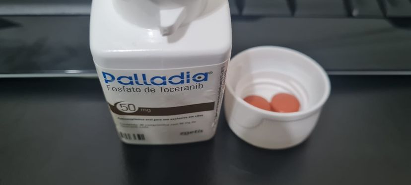 Palladia 50mg | Item p/ Pet Zoetis Usado 101762156 | enjoei