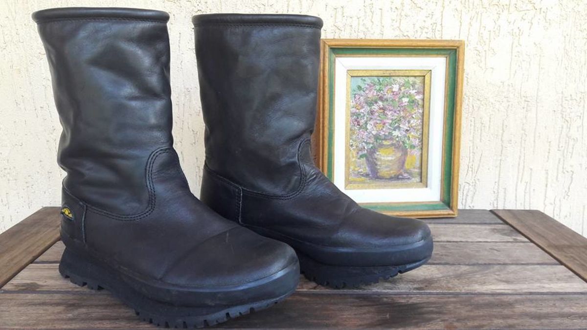 bull terrier snow trail