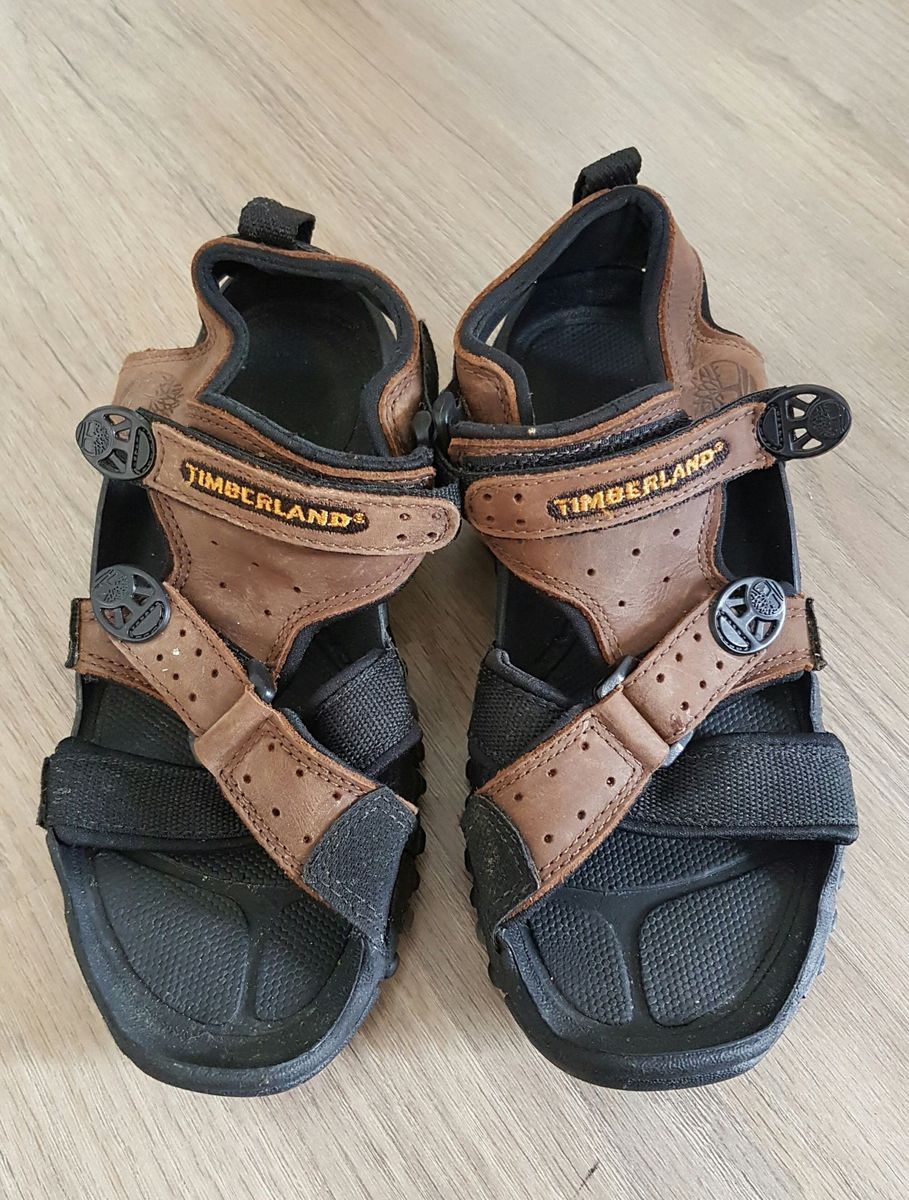 papete feminina timberland