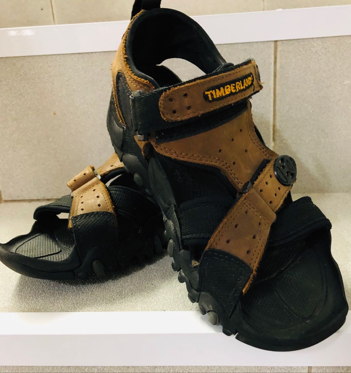 papete feminina timberland