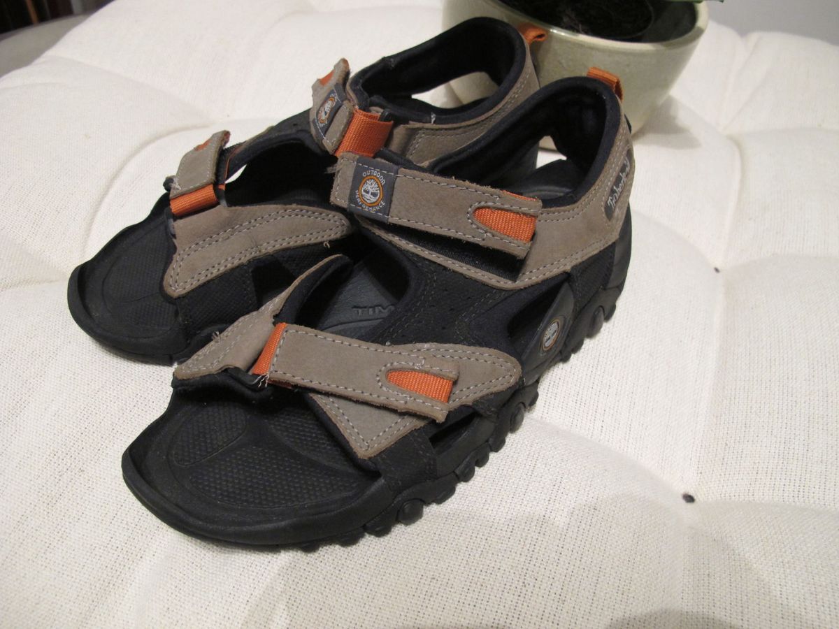 papete feminina timberland