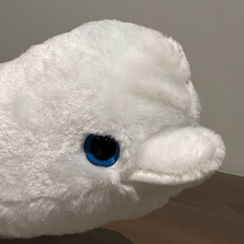 Beluga whale best sale stuffed animal seaworld