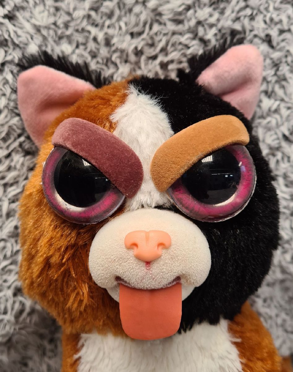 Pelúcia Feisty Pets Teca Trombada Dtc Gato Que Mostra a Língua