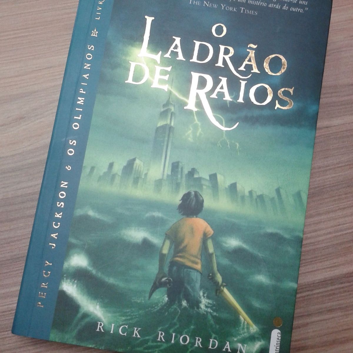 Percy Jackson e O Ladrão de Raios | Livro Editora Intrinseca Usado