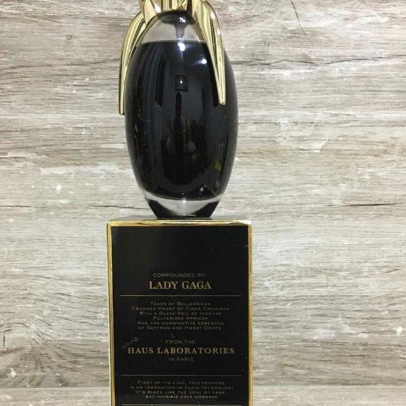 Perfume Lady Gaga Fame Feminino Eau de Parfum 100ml | Perfume
