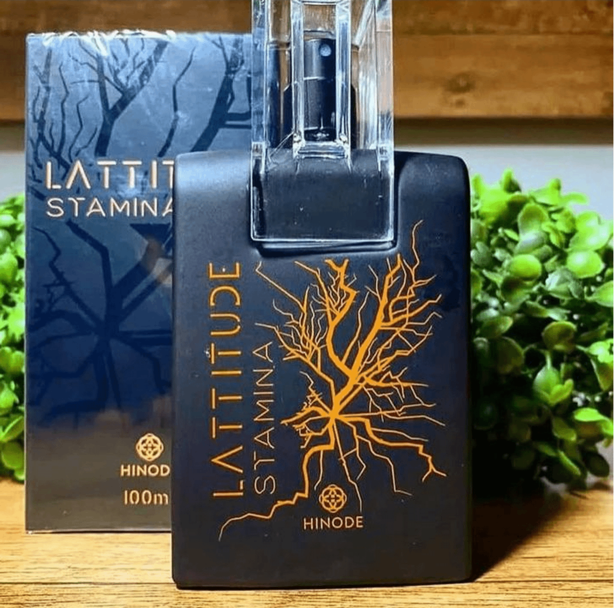 Perfume Stamina 100ml Lacrado a Pronta Entrega Perfume Masculino