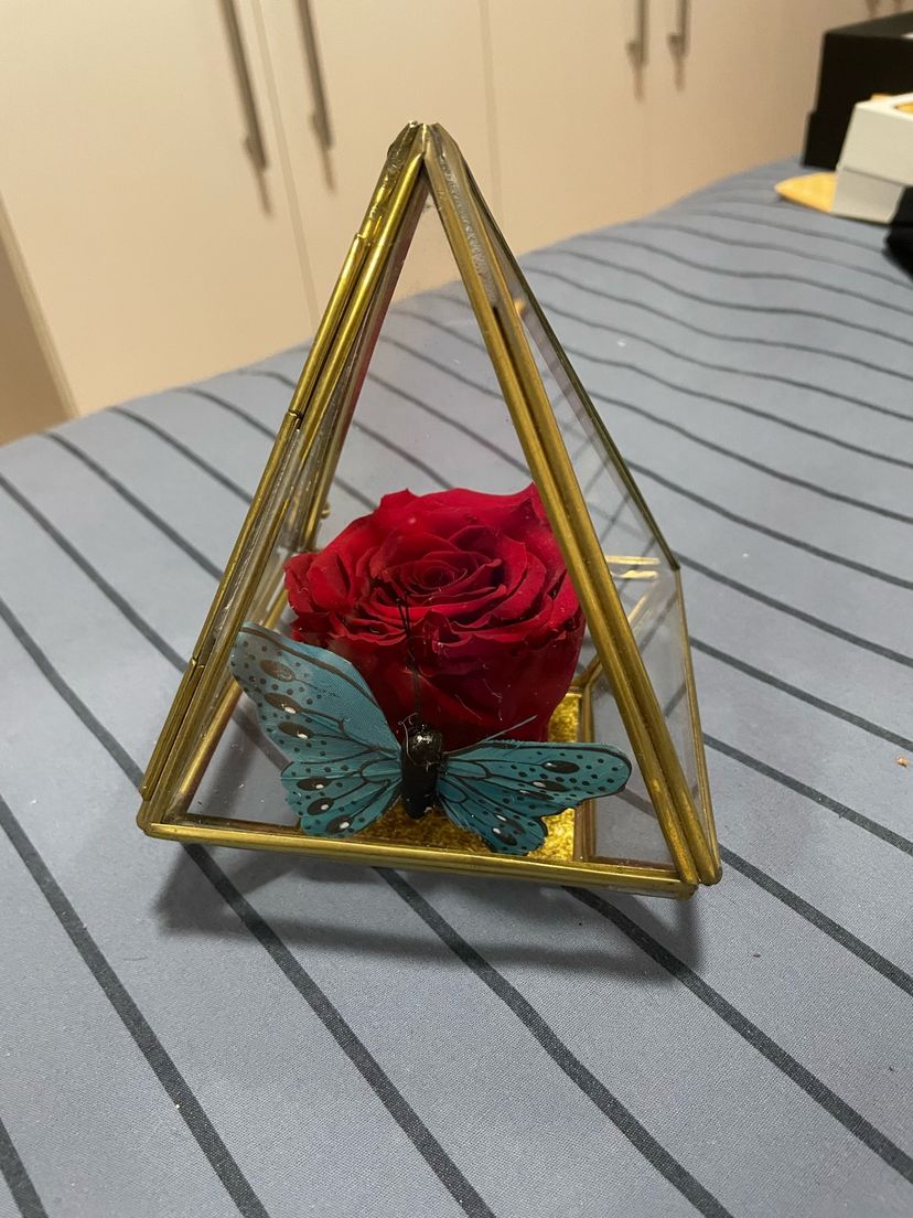 Pirâmide da Rosa Encantada Vermelha Giuliana Flores | Produto Feminino Giuliana  Flores Nunca Usado 81344064 | enjoei