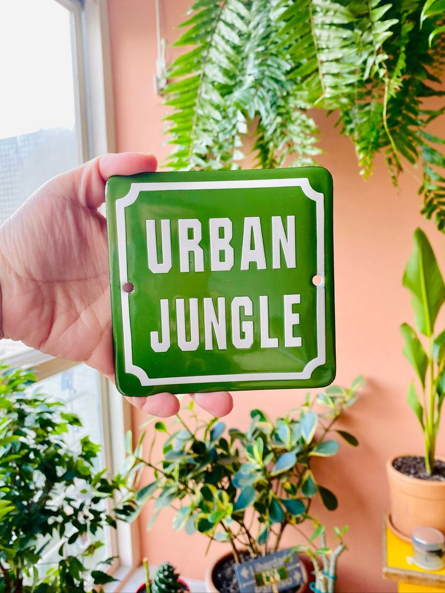 Placa Urban Jungle Item De Decora O Varanda Quadrada Nunca Usado Enjoei