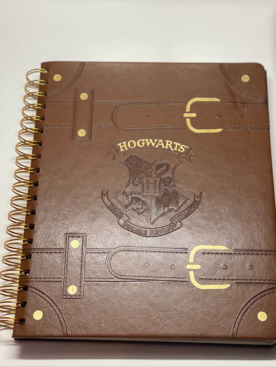 Planner Harry Potter 2020 Livro Imaginarium Nunca Usado 47196318 Enjoei 6617