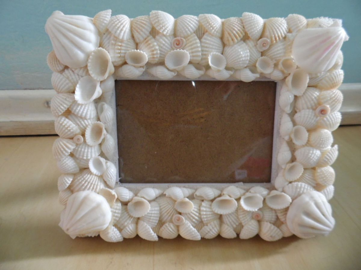 Porta Retrato Conchas do Mar | Item de ...