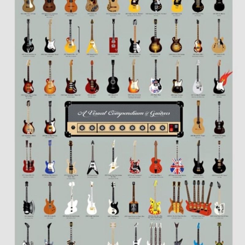 Poster a Visual Compendium Of Guitars | Popchart Nunca Usado Poster a Visual Compendium Of Guitars | Popchart Nunca Usado
