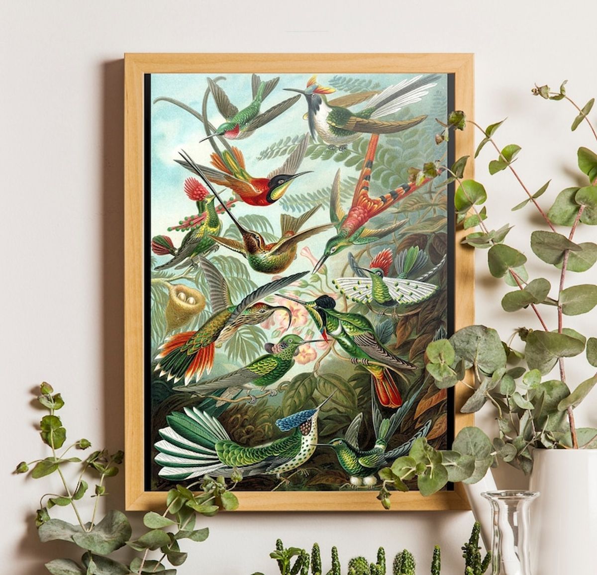 Poster Birds Of Paradise de Ernst Haeckel | Item de Decoração Barbarela ...