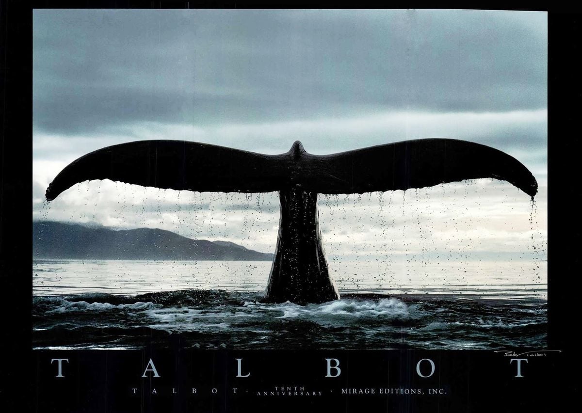 Bob Talbot 80s vintage poster 10種セット Pôster Decorativo - Bob Talbot 1987 Baleia - Artdecor - 33 Cm X 48