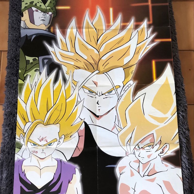 Pôster Dragon Ball Z | Usado 112110091 | enjoei