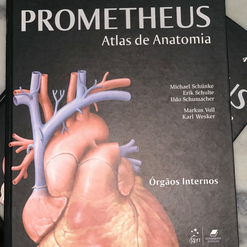 Coleção Prometheus Atlas de Anatomia Volume 4 | Livro Prometheus