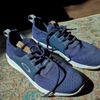 tênis oakley dry azul marinho