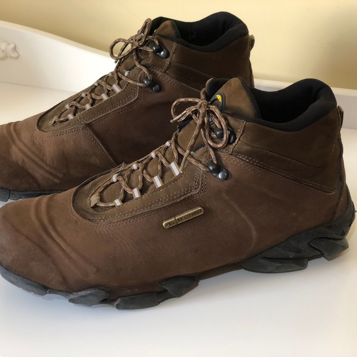 bota bull terrier attack