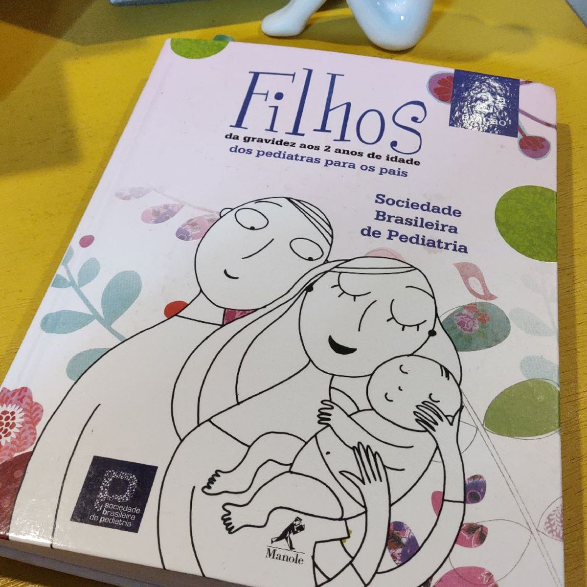 Livro Filhos da Gravidez Aos 2 Anos de Idade Dos Pediatras para Os Pais |  Usado 88890445 | enjoei